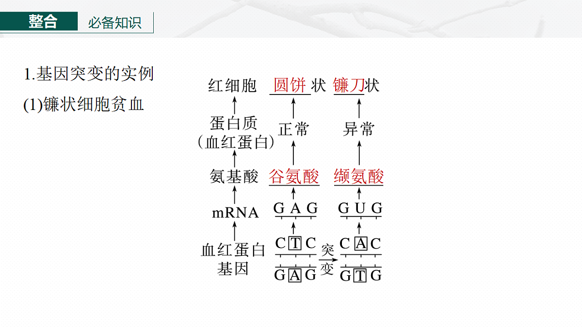 17268722第6页