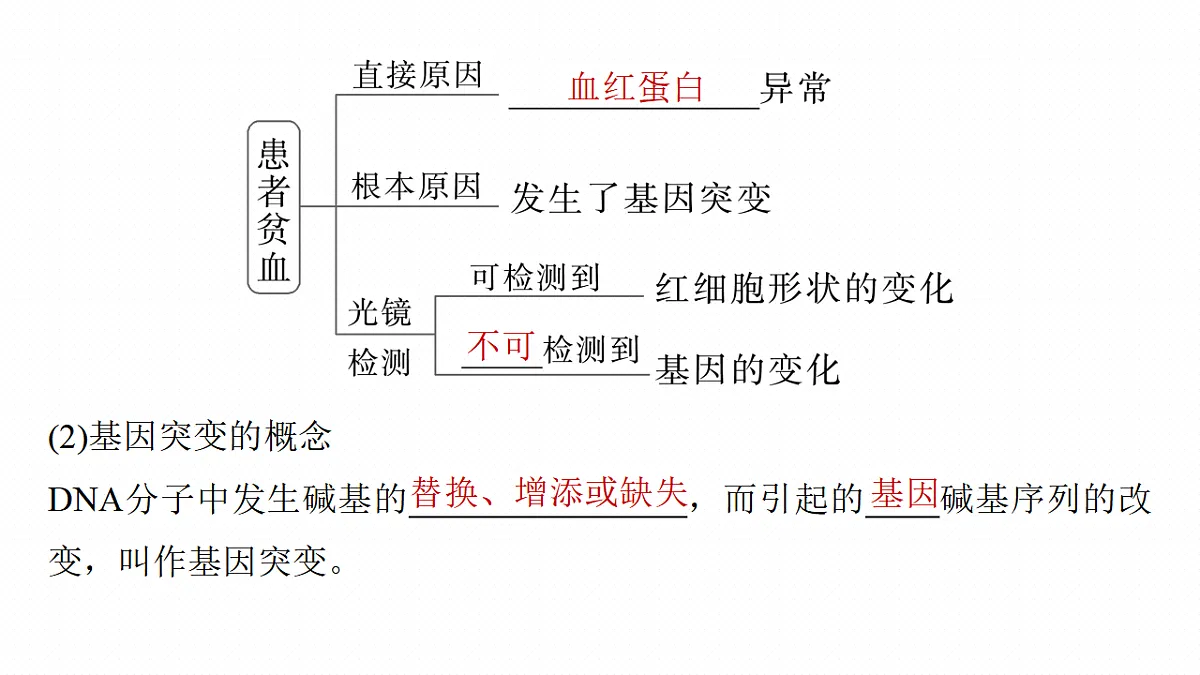 17268722第7页