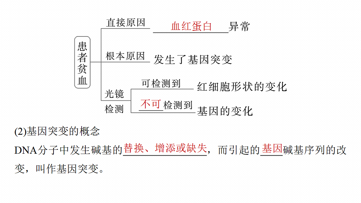 17268722第7页
