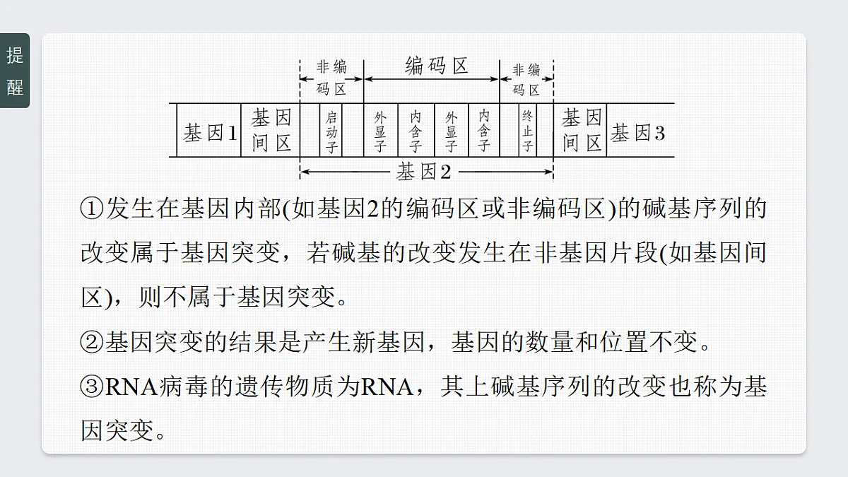 17268722第8页