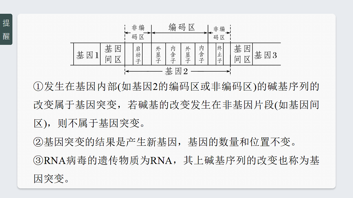 17268722第8页