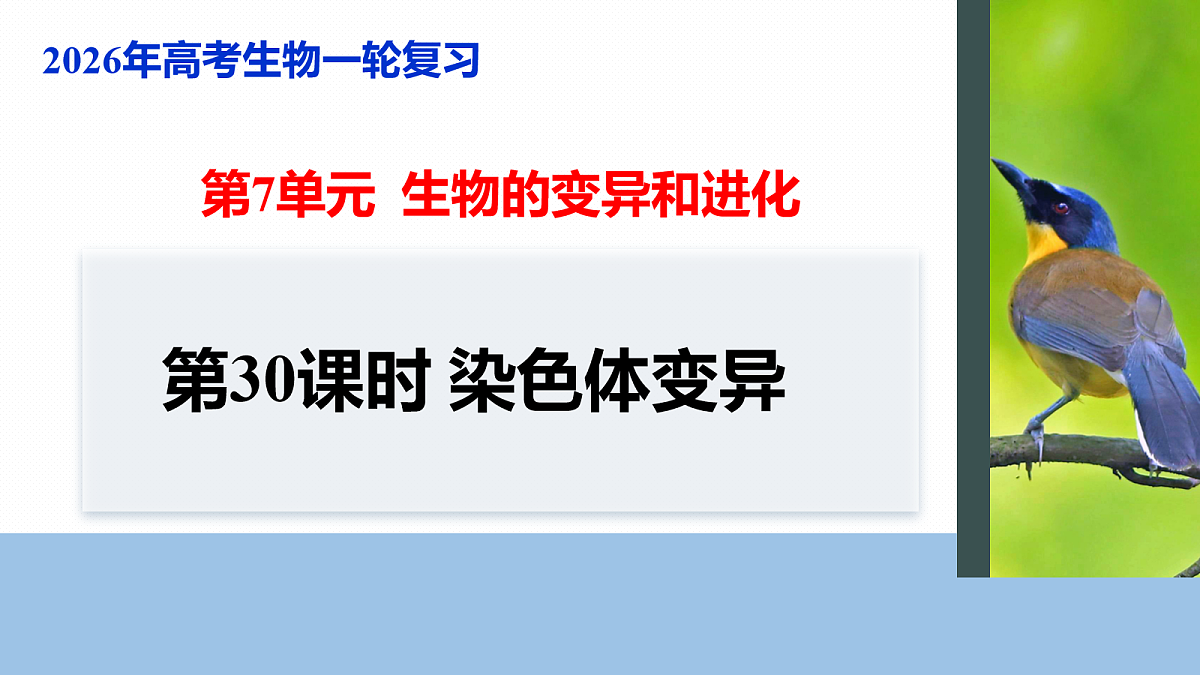 17268724第1页