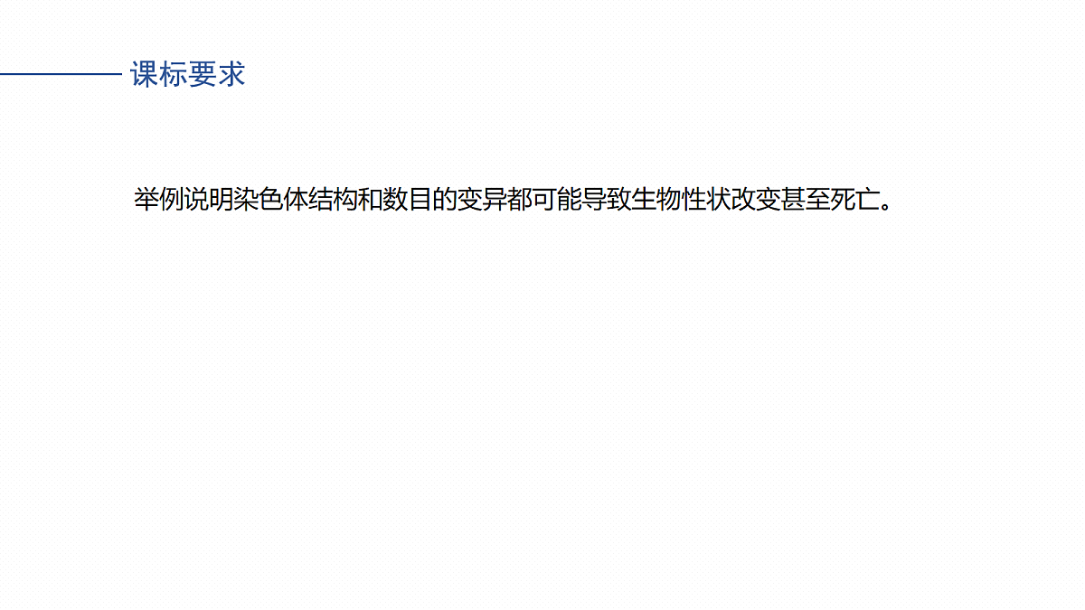 17268724第2页