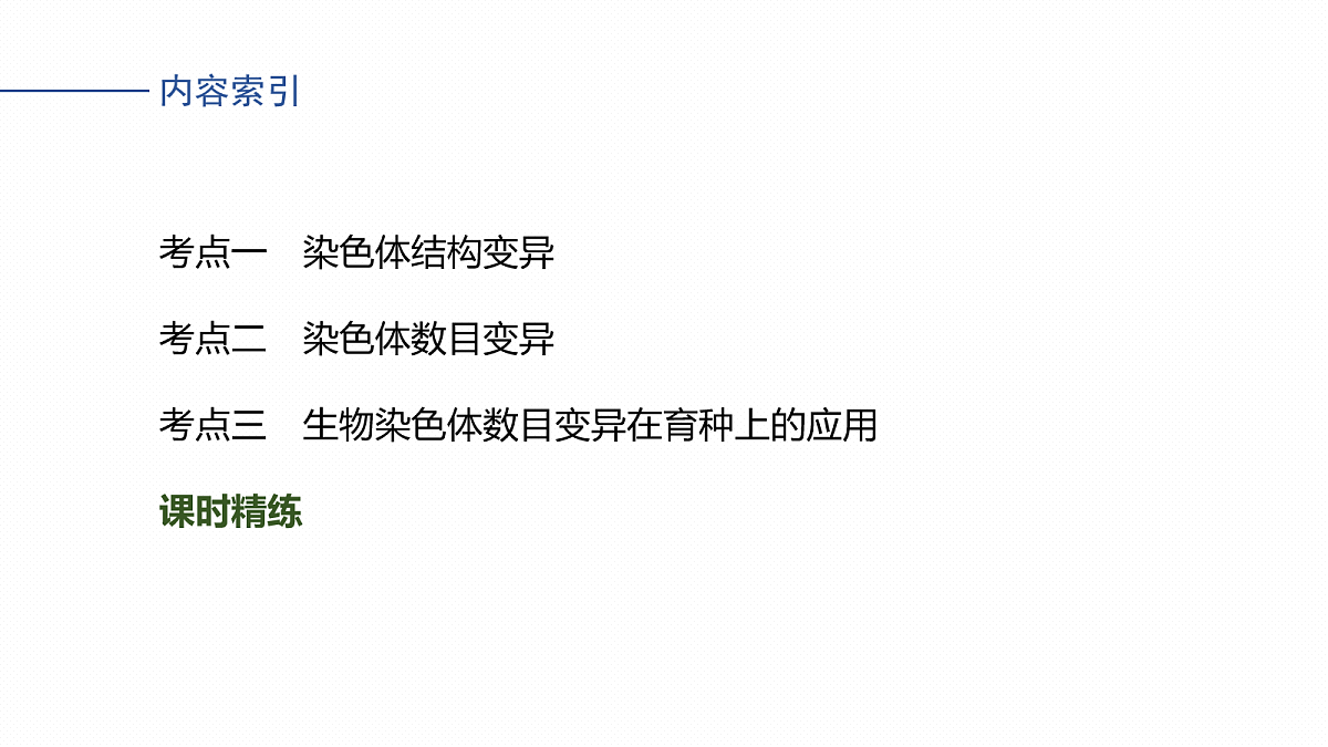17268724第4页