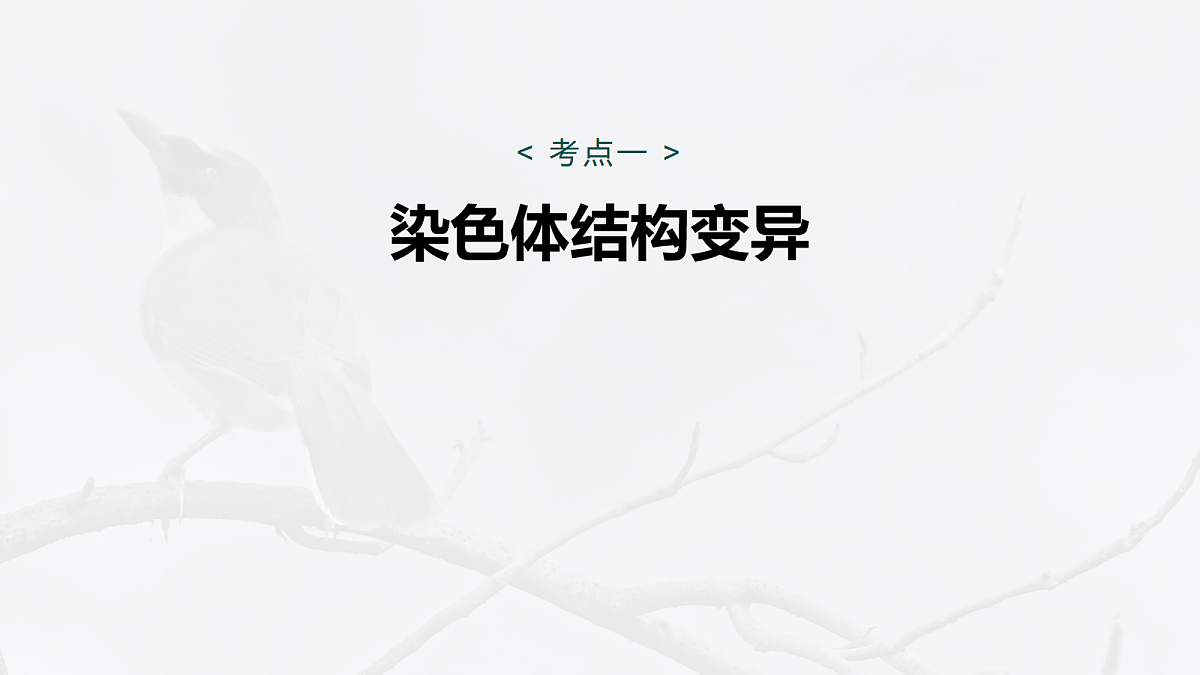 17268724第5页
