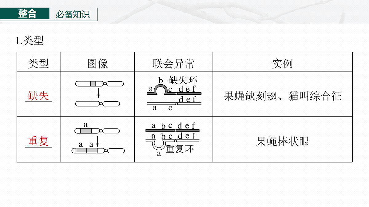 17268724第6页