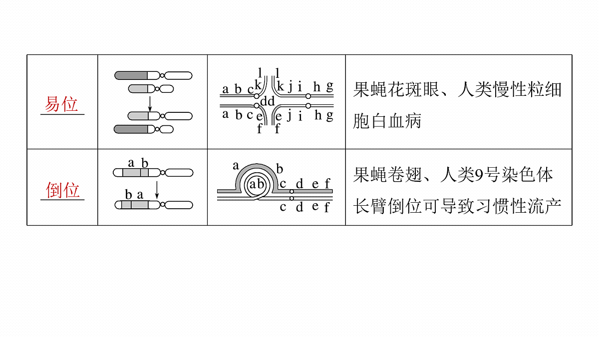 17268724第7页