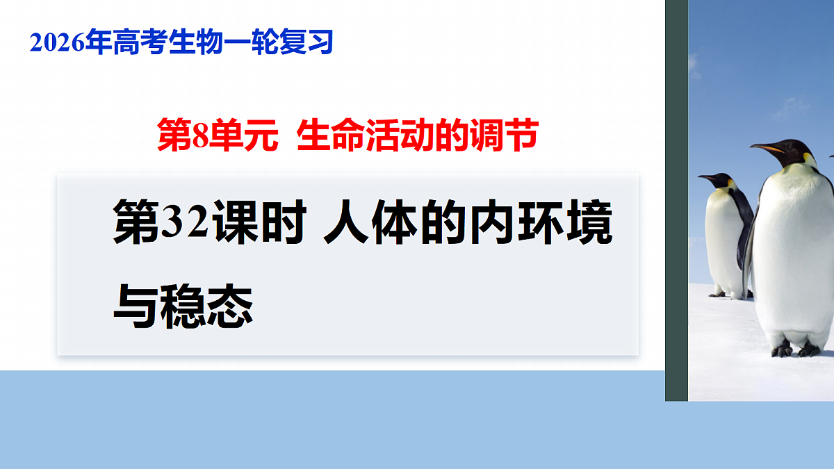 17268727第1页