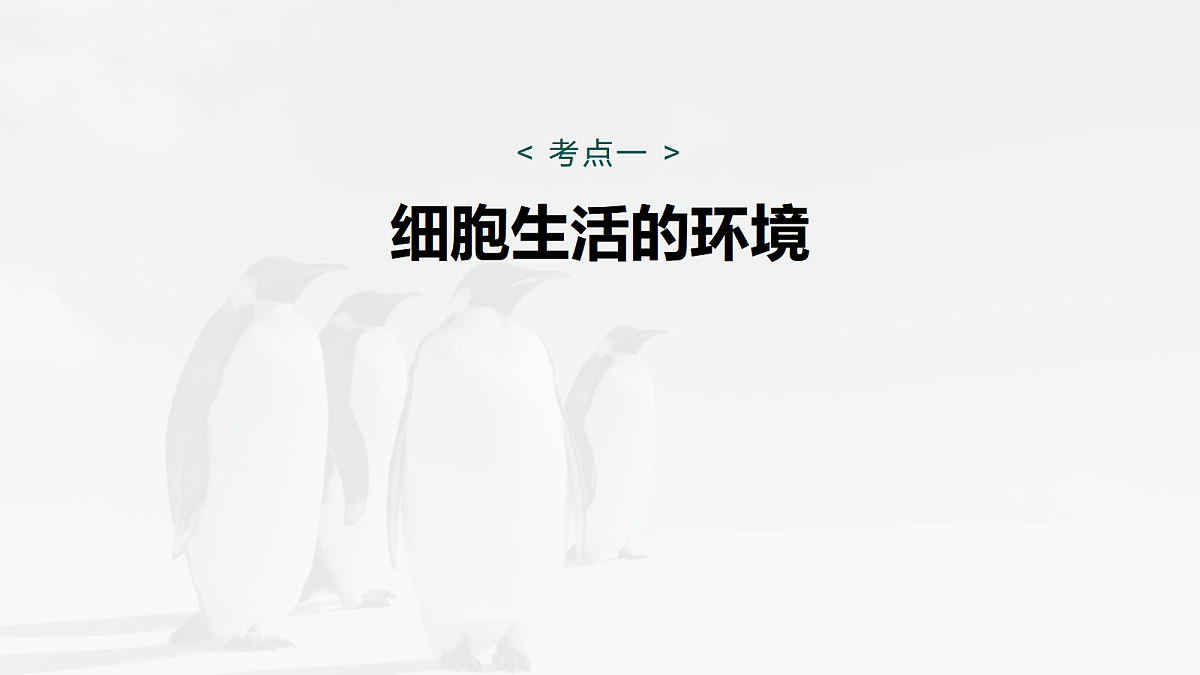 17268727第5页