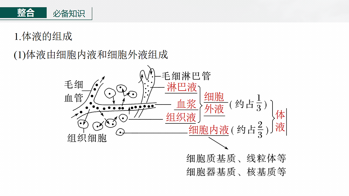 17268727第6页