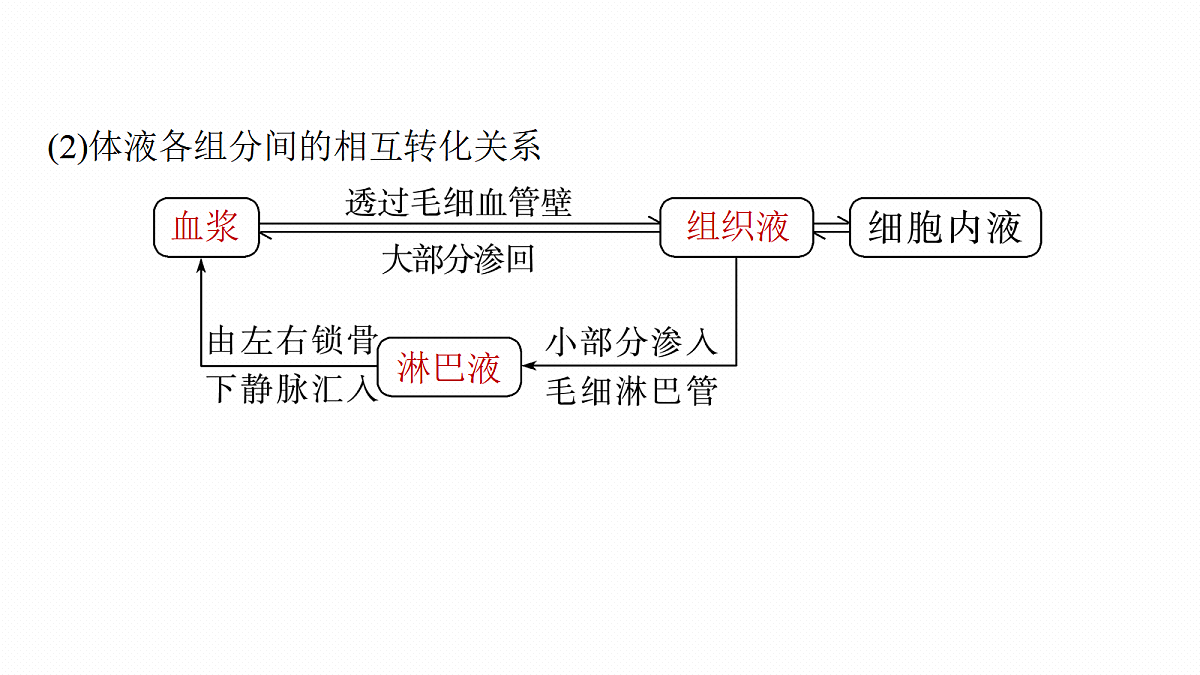 17268727第7页