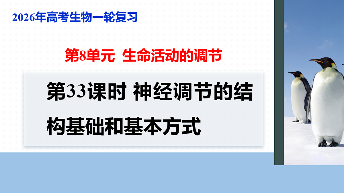 17268729第1页