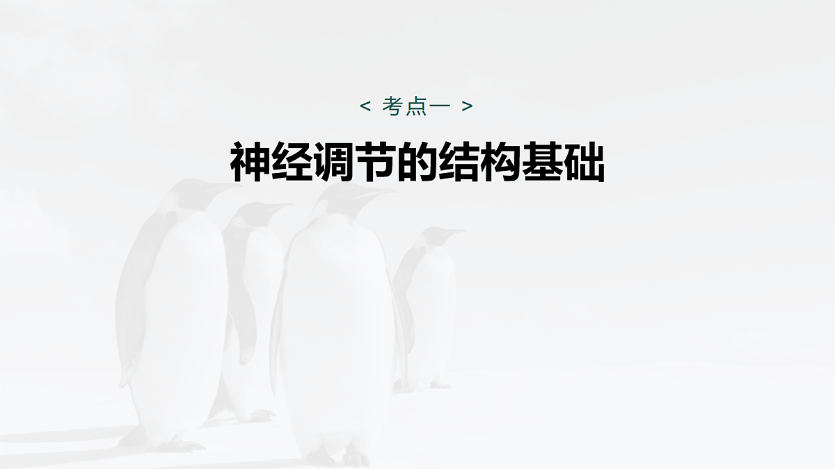 17268729第5页