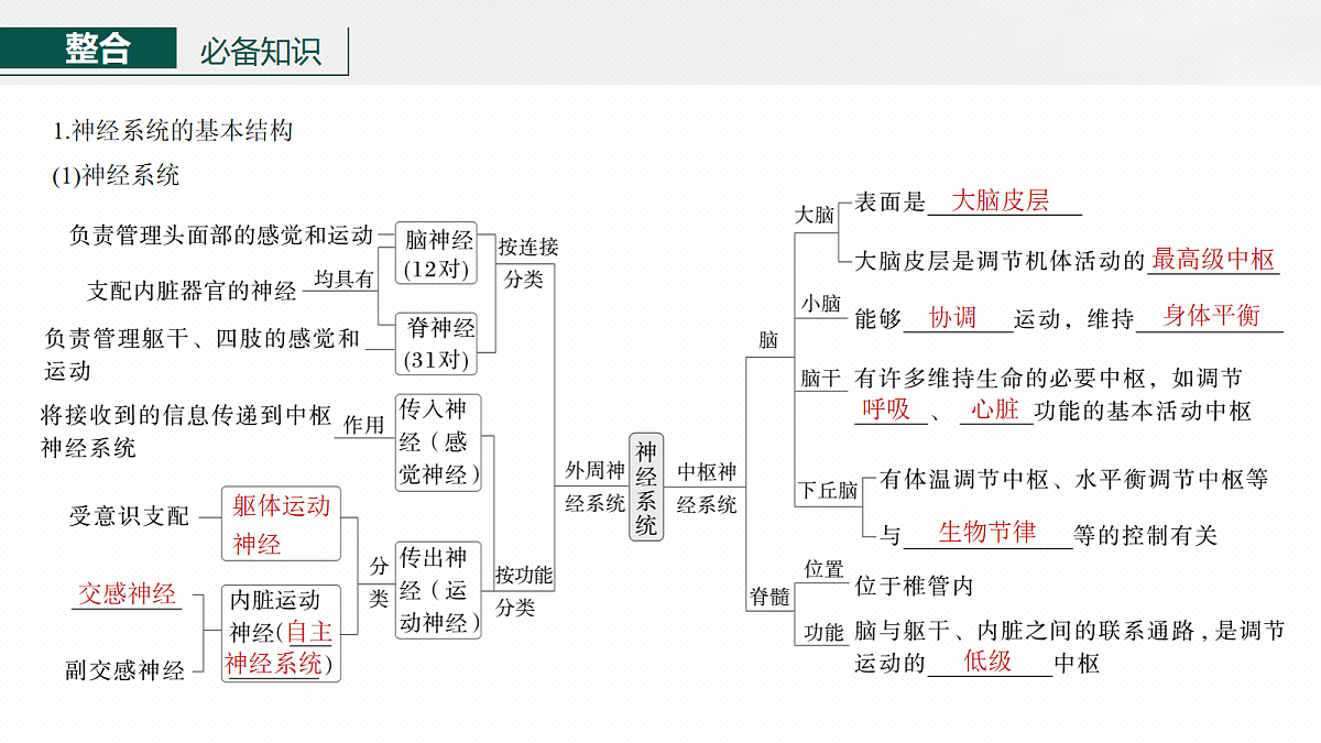 17268729第6页