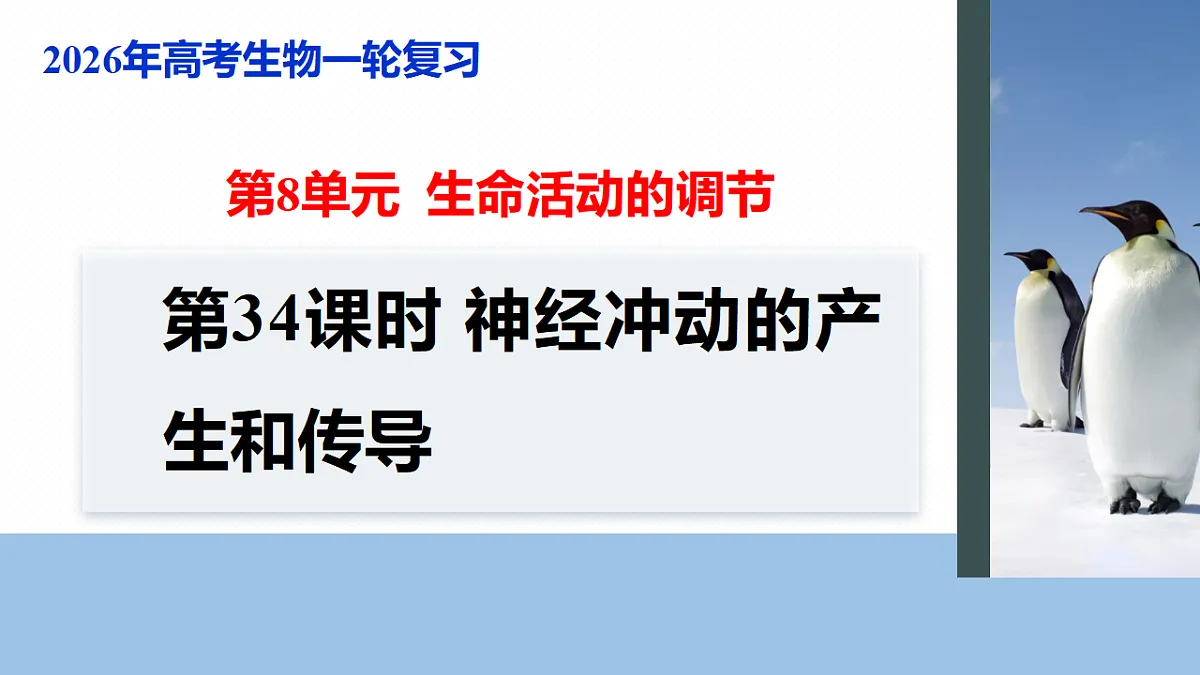 17268731第1页