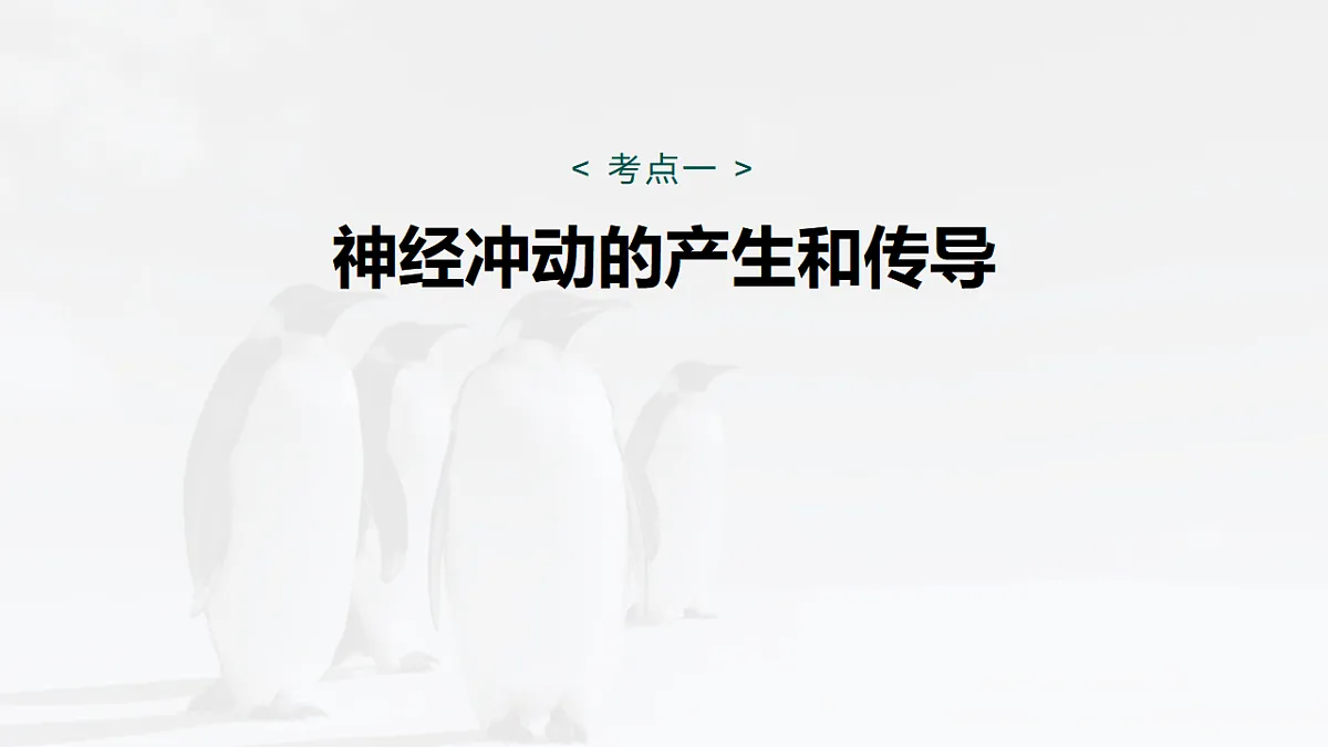 17268731第5页
