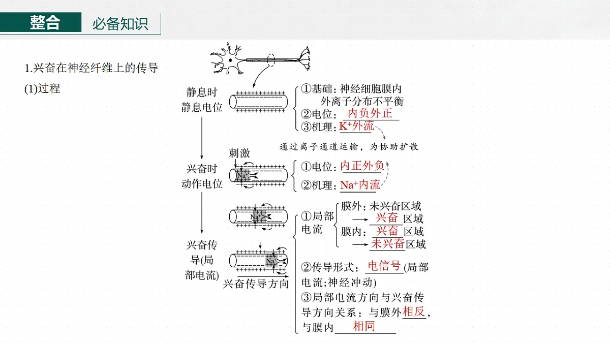 17268731第6页
