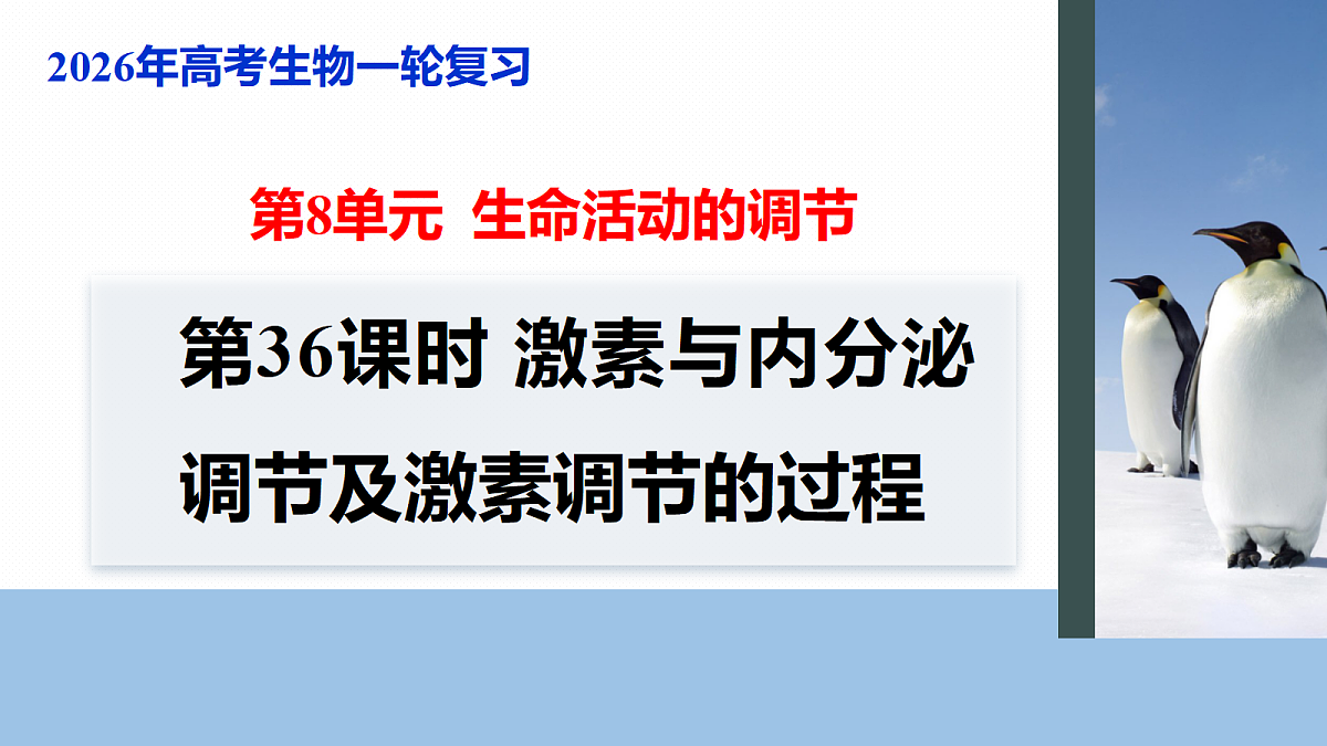17268733第1页