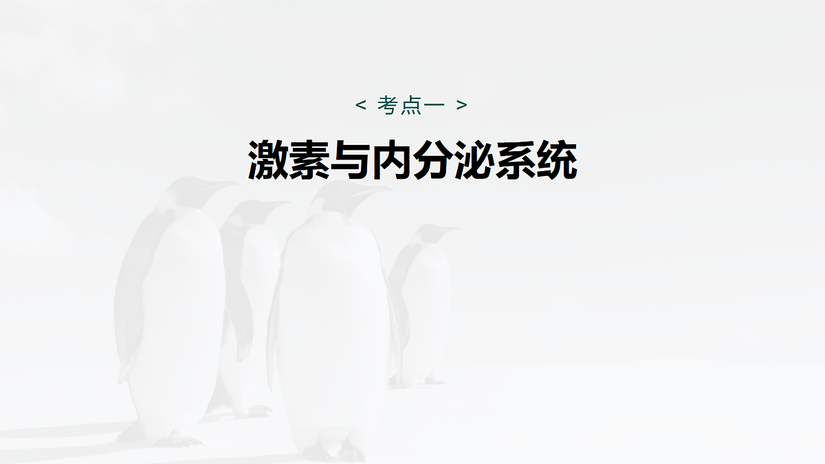 17268733第5页