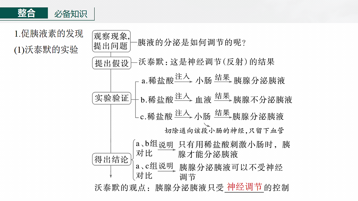17268733第6页