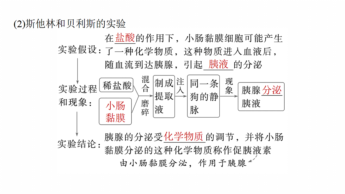 17268733第7页