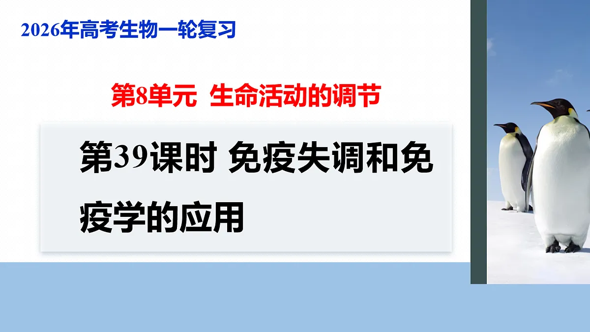 17268736第1页