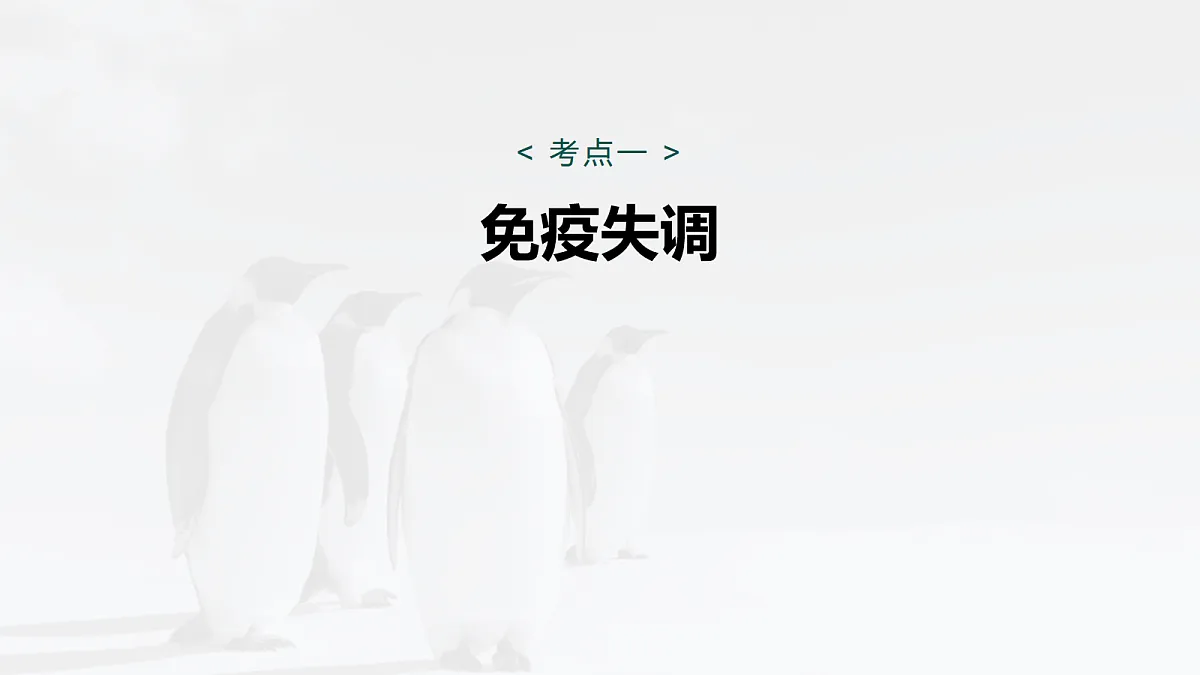 17268736第5页