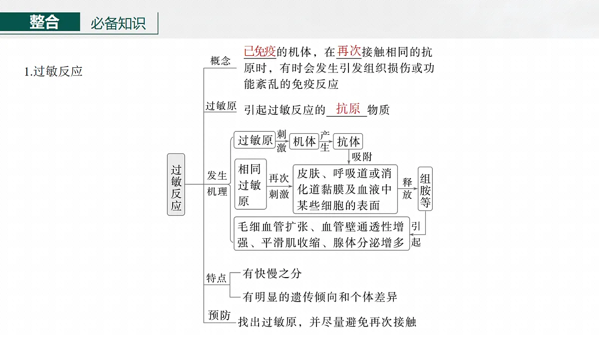 17268736第6页