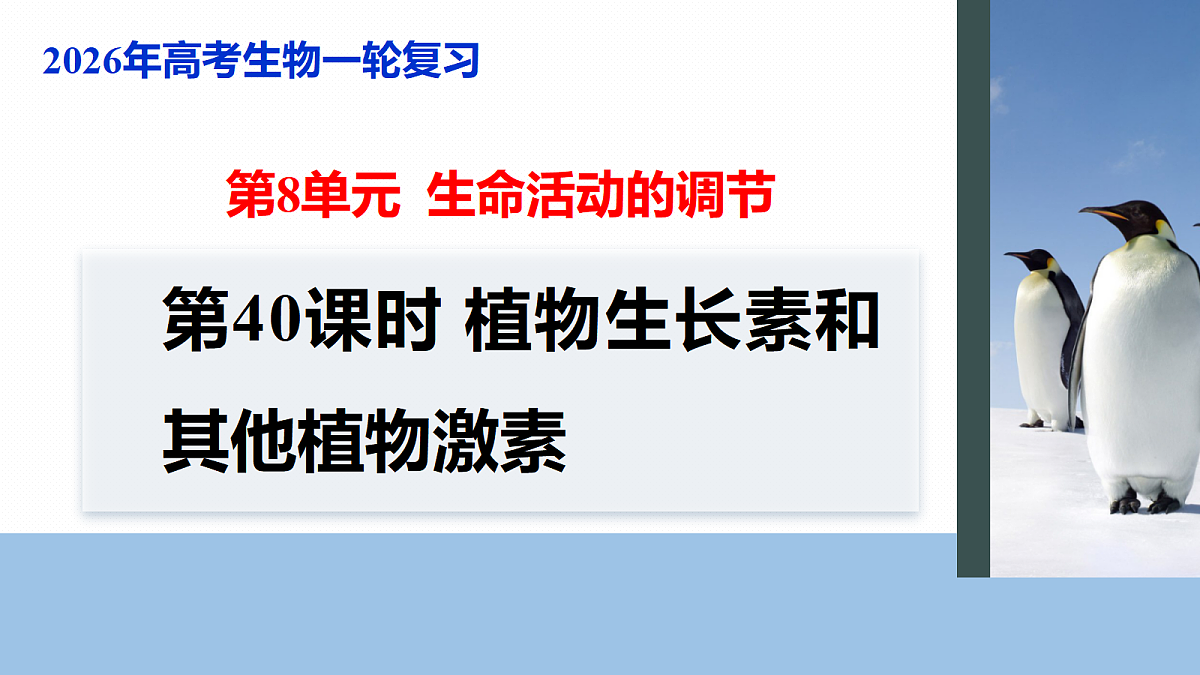 17268737第1页