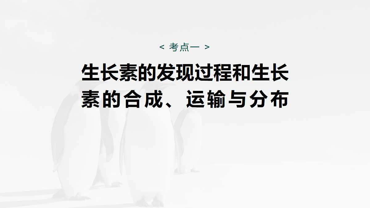 17268737第5页