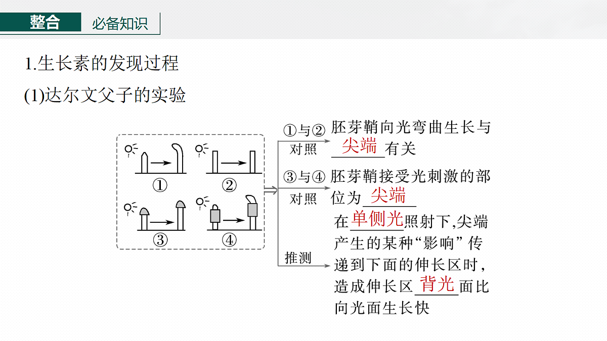 17268737第6页