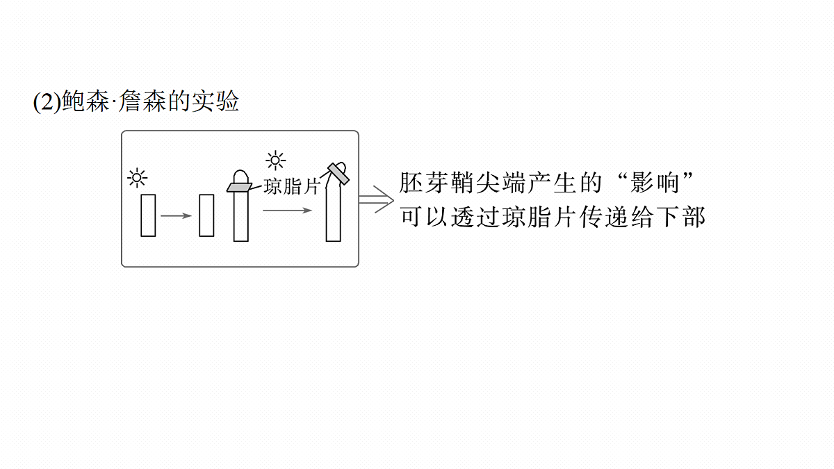 17268737第7页