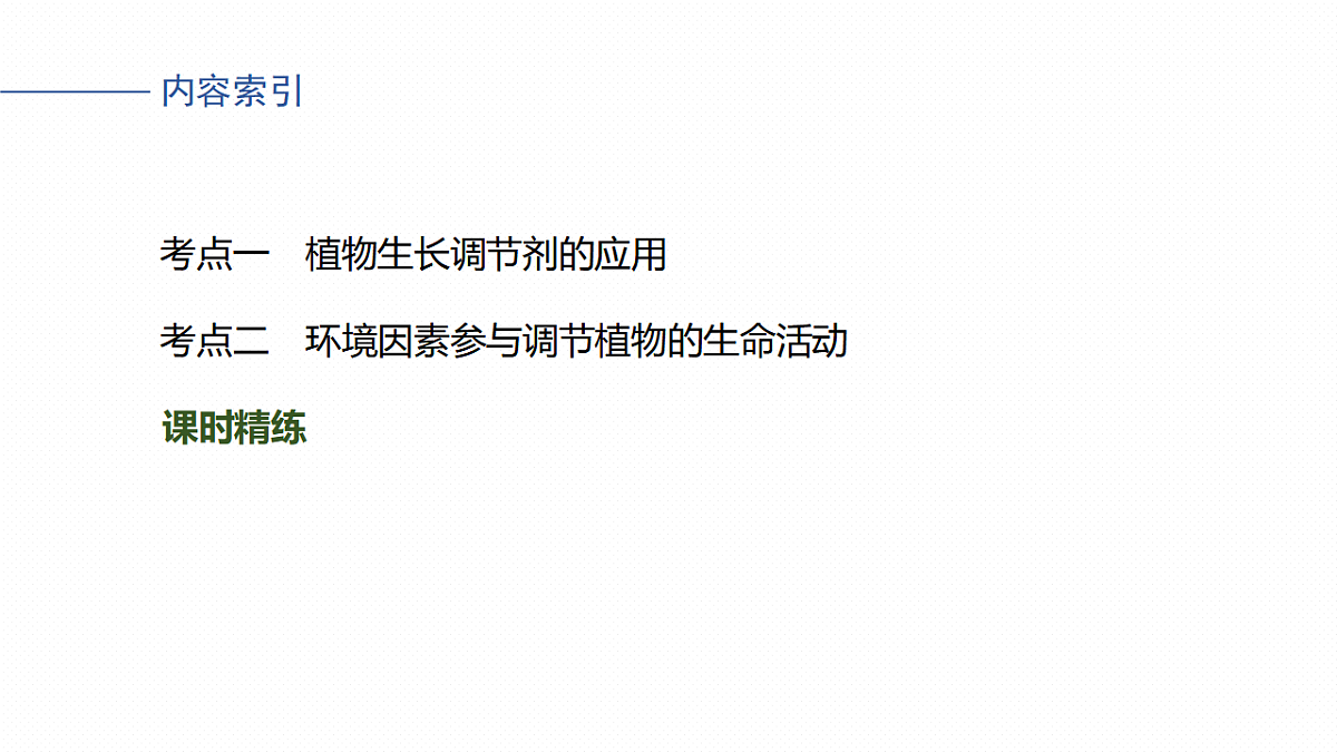 17268738第4页