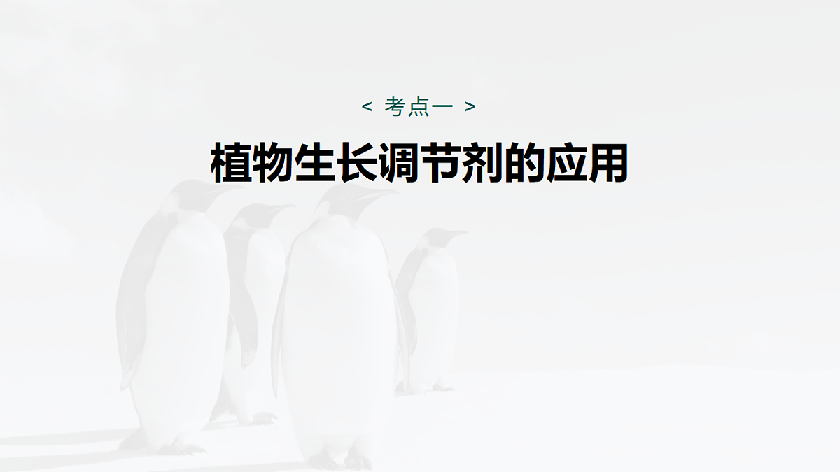 17268738第5页