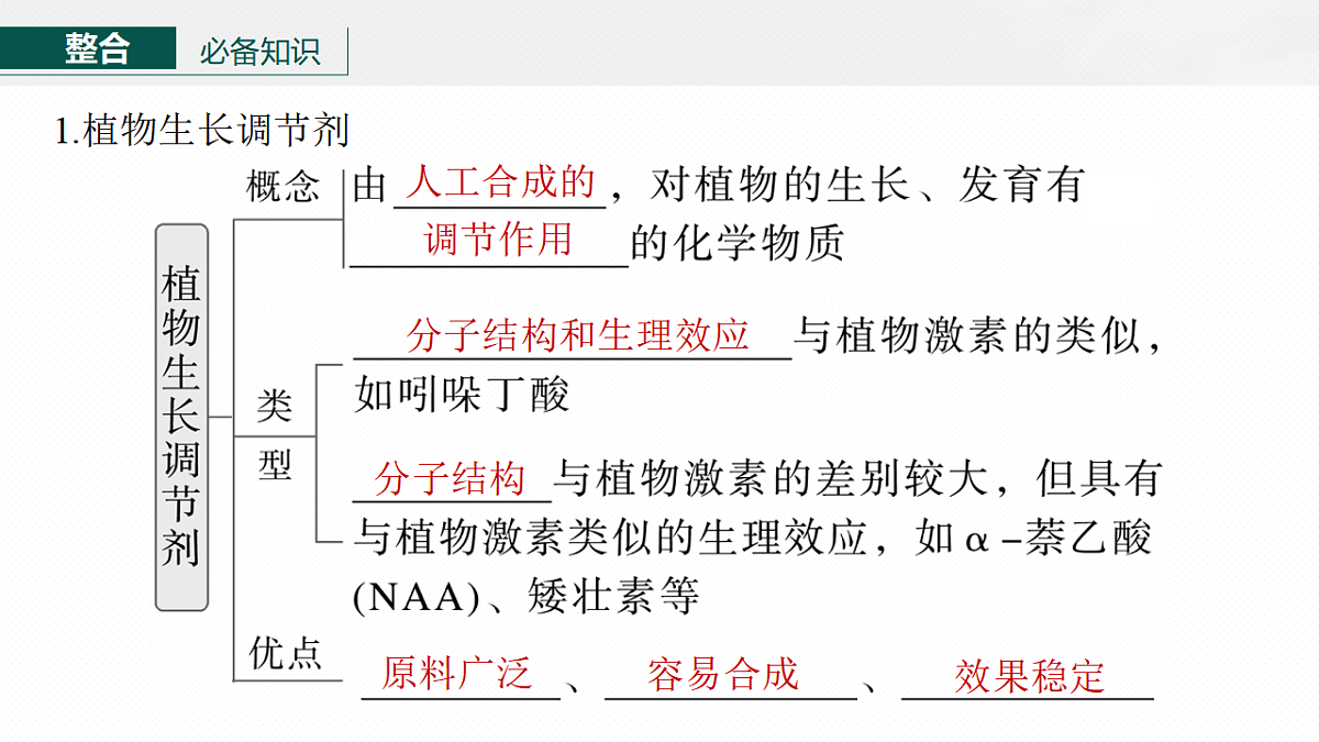 17268738第6页
