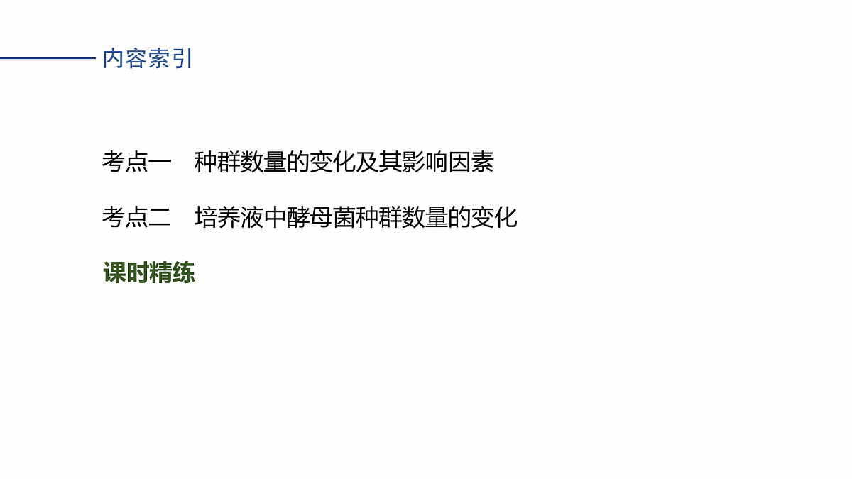 17268740第4页