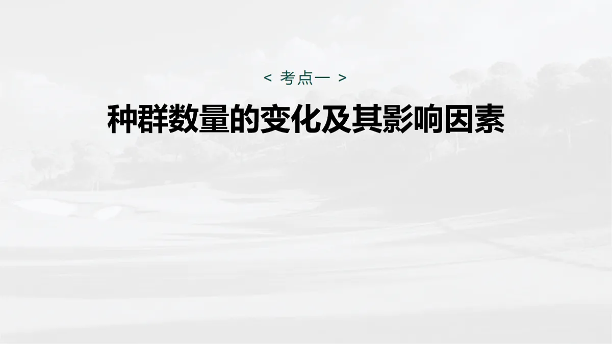 17268740第5页