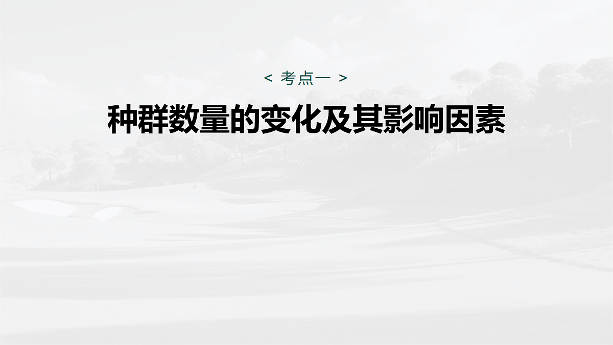 17268740第5页