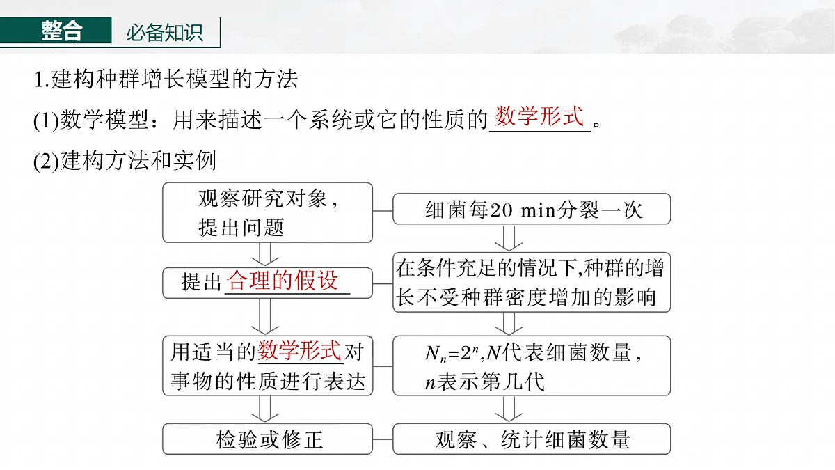 17268740第6页