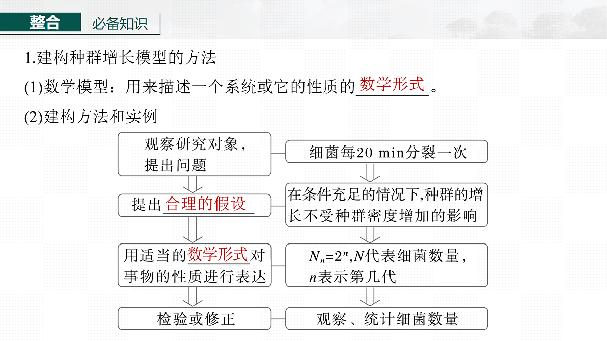 17268740第6页