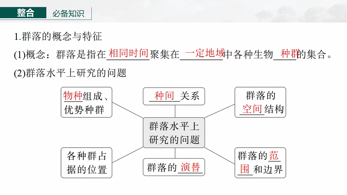 17268741第6页