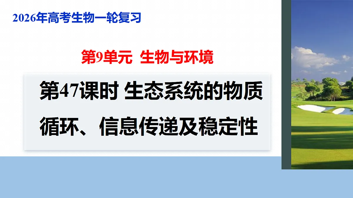 17268743第1页