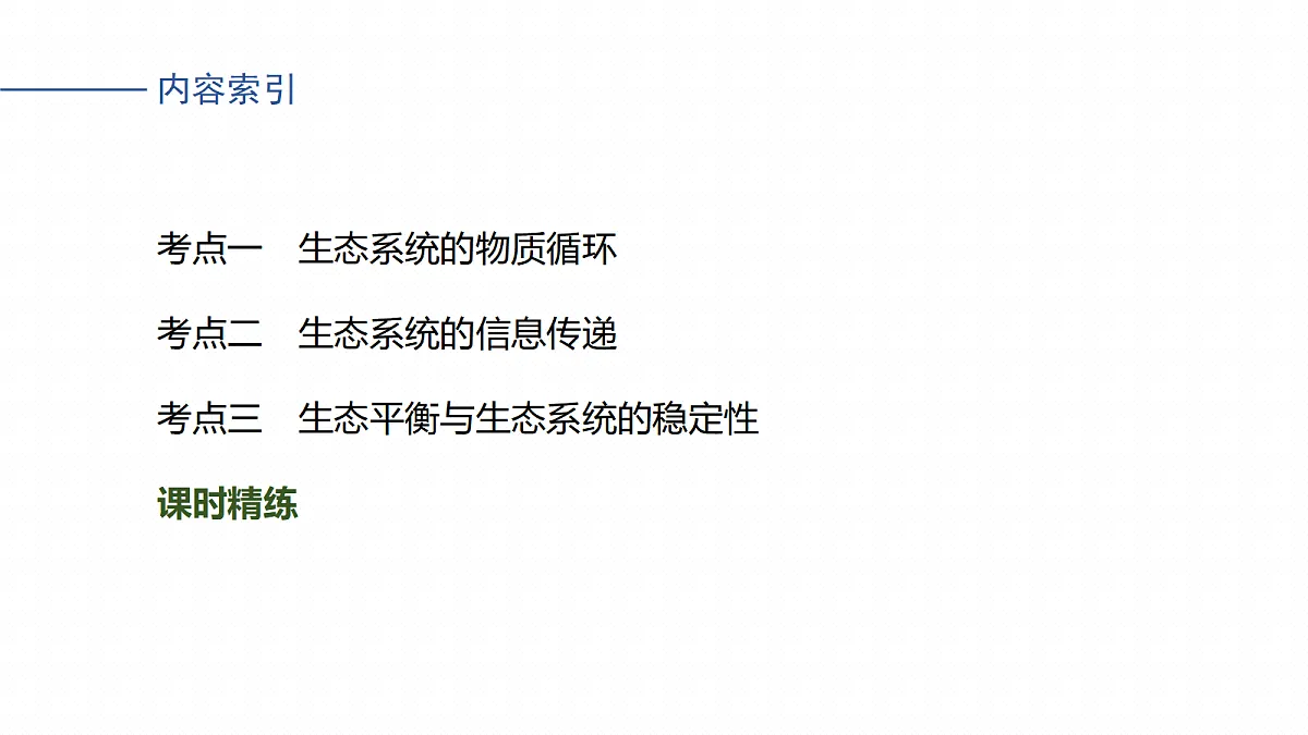 17268743第4页