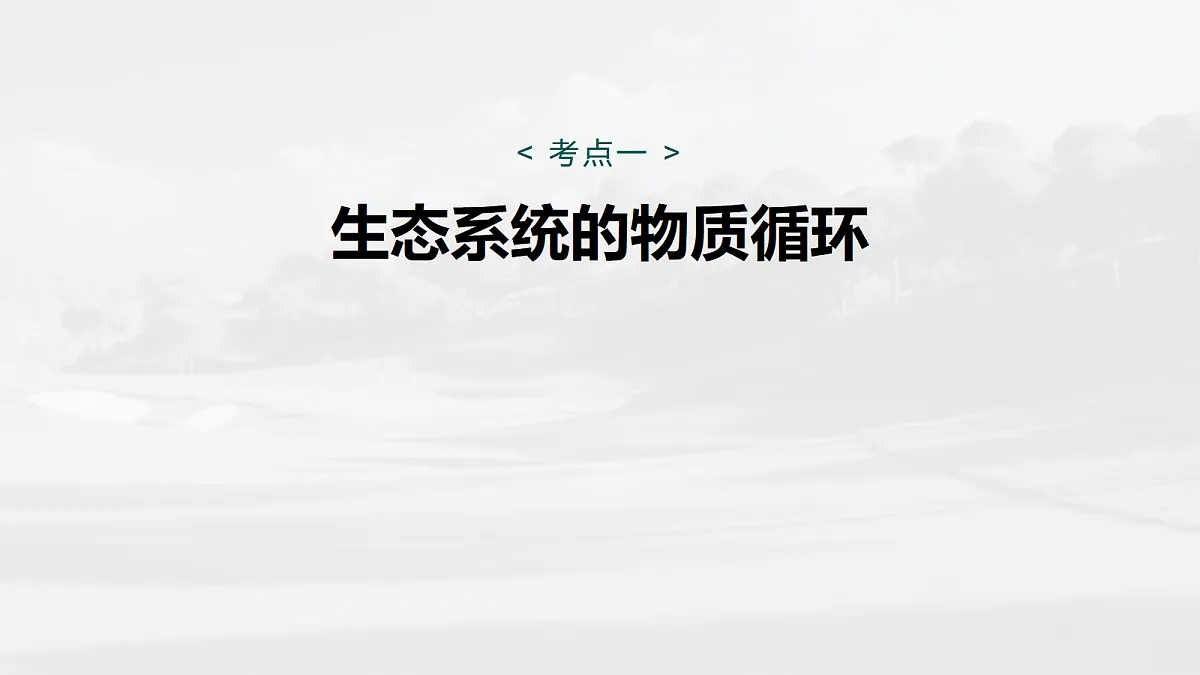 17268743第5页