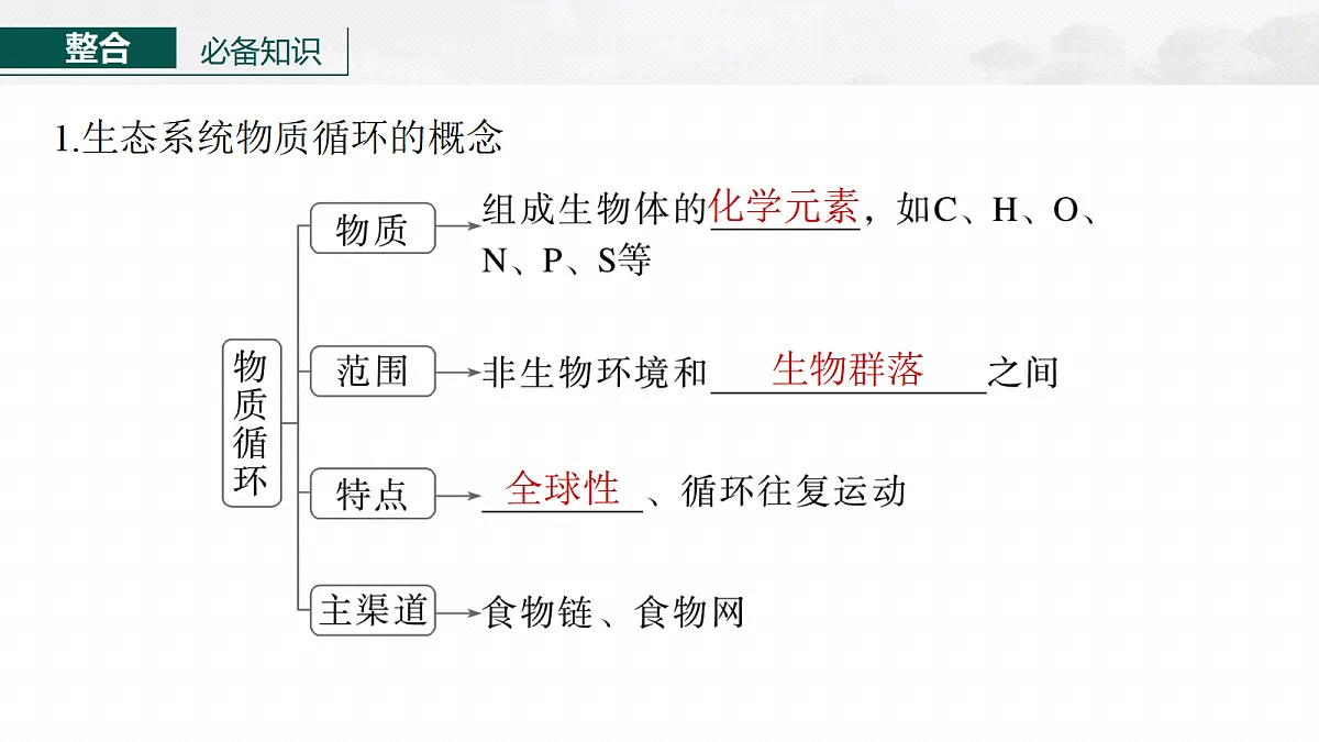 17268743第6页