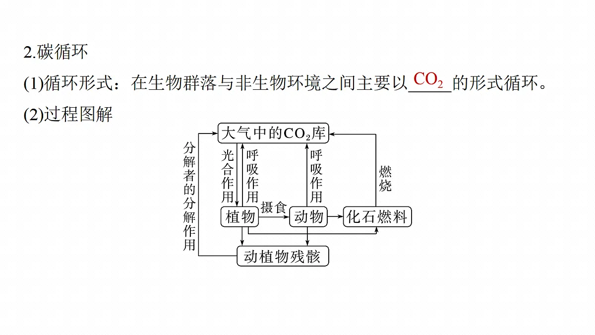 17268743第7页