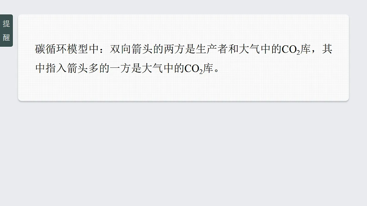 17268743第8页