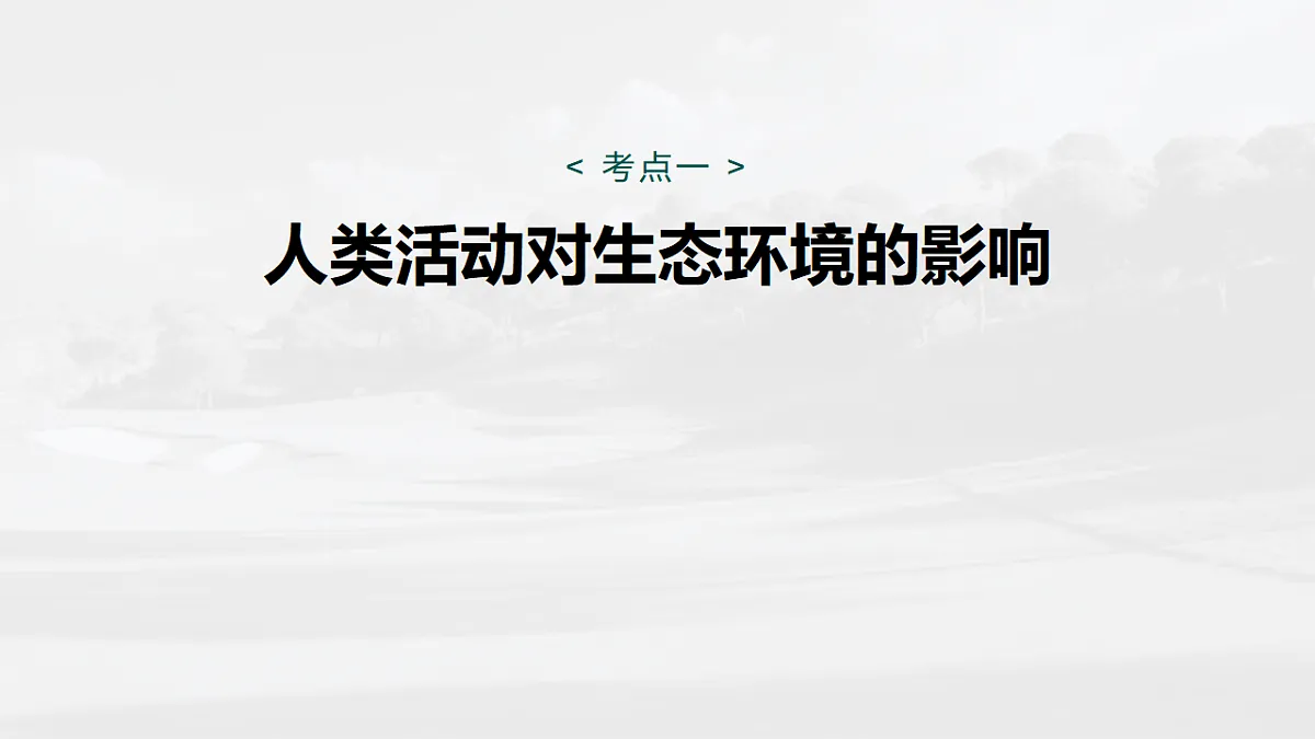 17268744第5页