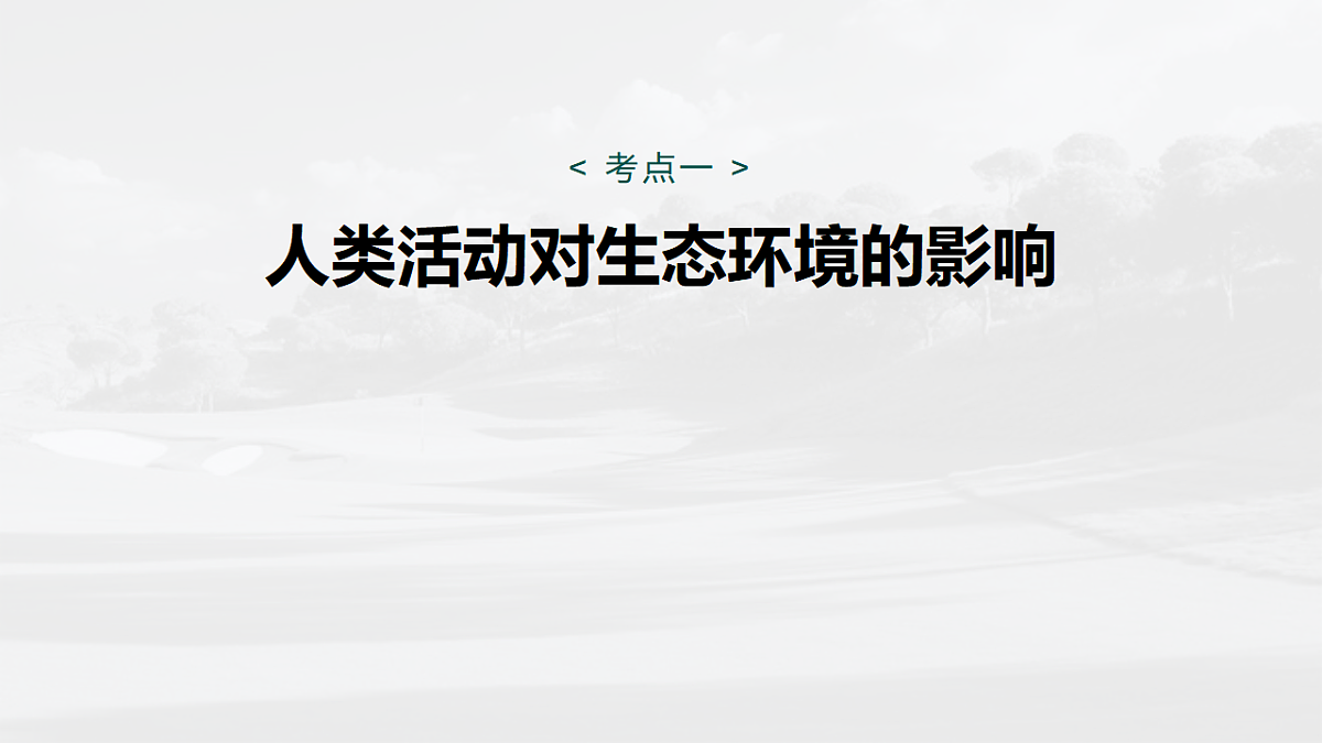 17268744第5页