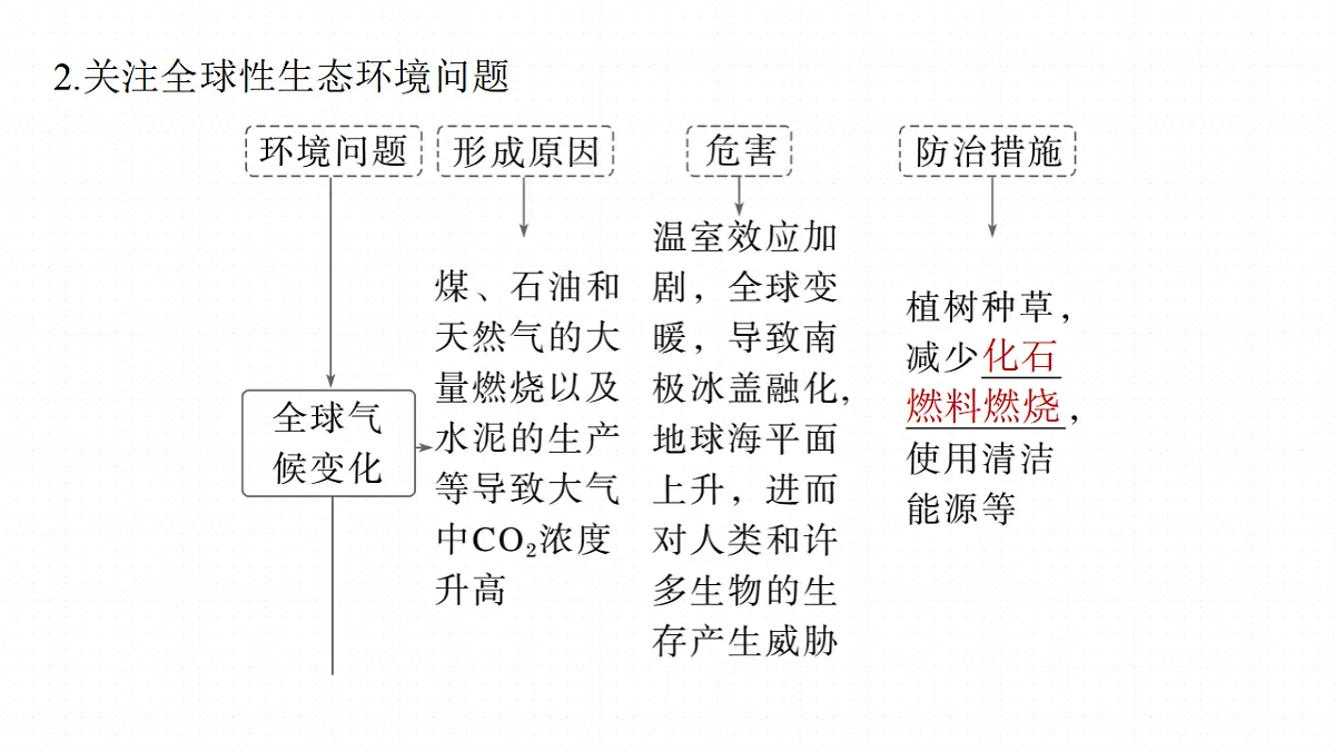 17268744第8页